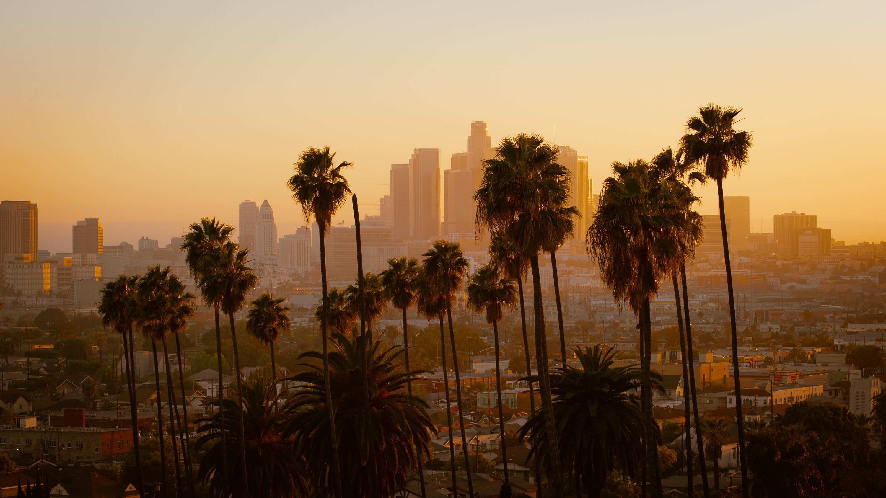 Los Angeles will host the 2028 Olympic and Paralympic Games